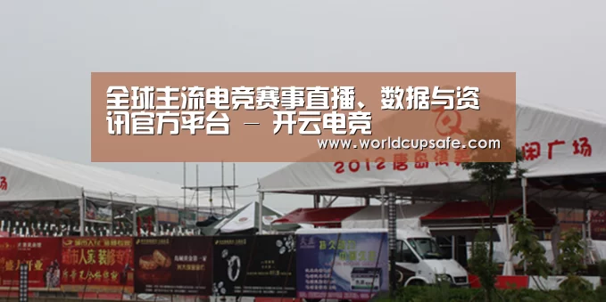 案例标题十