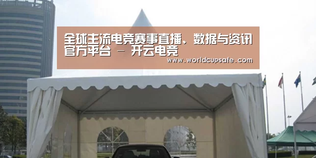 案例标题八