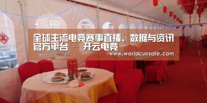 案例标题二