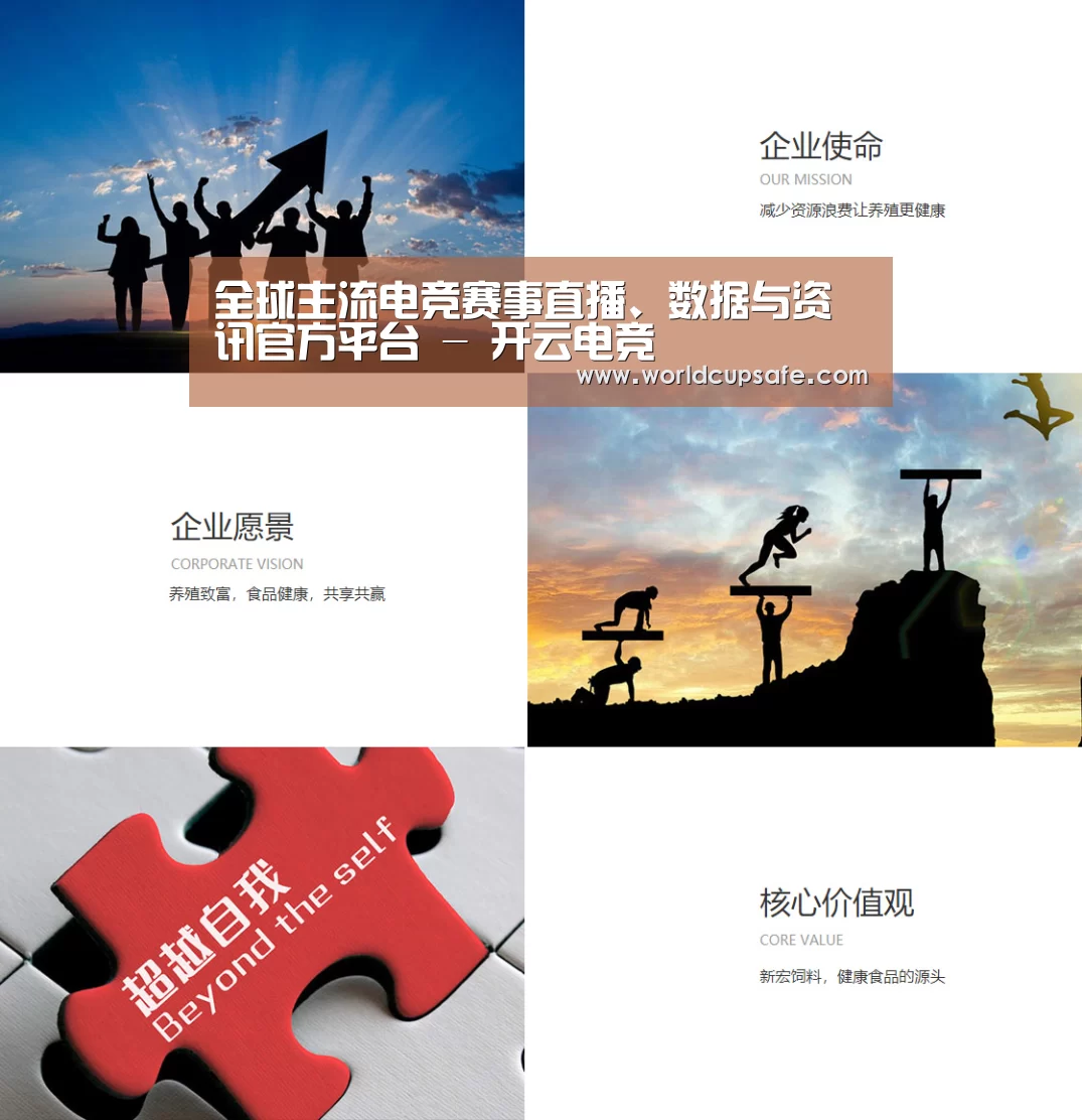 企业文化(图1)