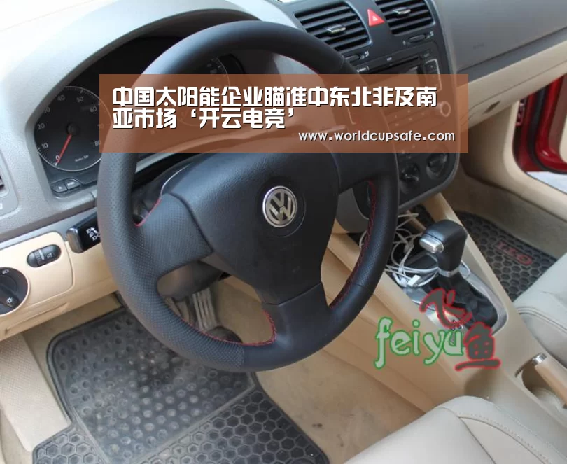 中国太阳能企业瞄准中东北非及南亚市场‘开云电竞’