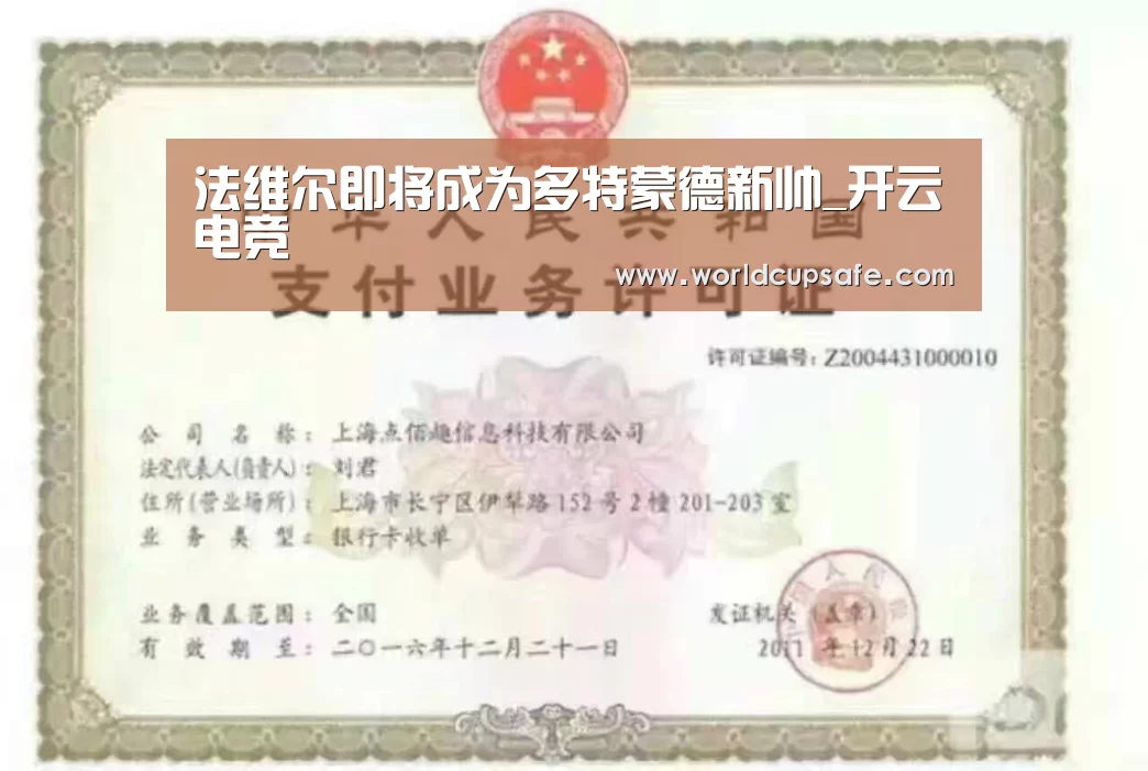 法维尔即将成为多特蒙德新帅_开云电竞