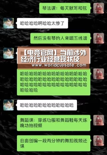 【电竞官网】当前涉外经济行业经营现状及政策应对