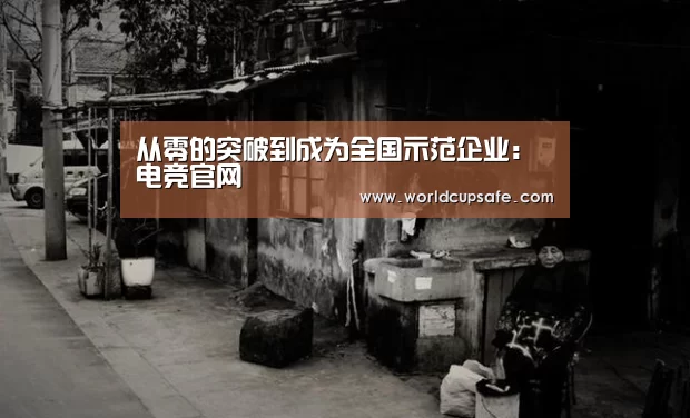从零的突破到成为全国示范企业:电竞官网