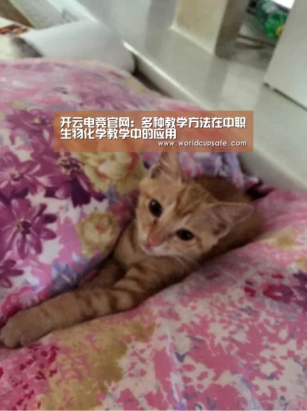 开云电竞官网:多种教学方法在中职生物化学教学中的应用