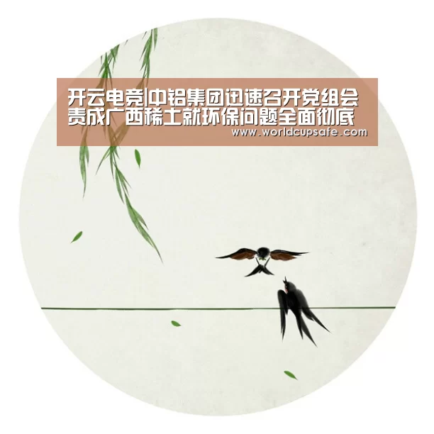 开云电竞|中铝集团迅速召开党组会责成广西稀土就环保问题全面彻底排查整改