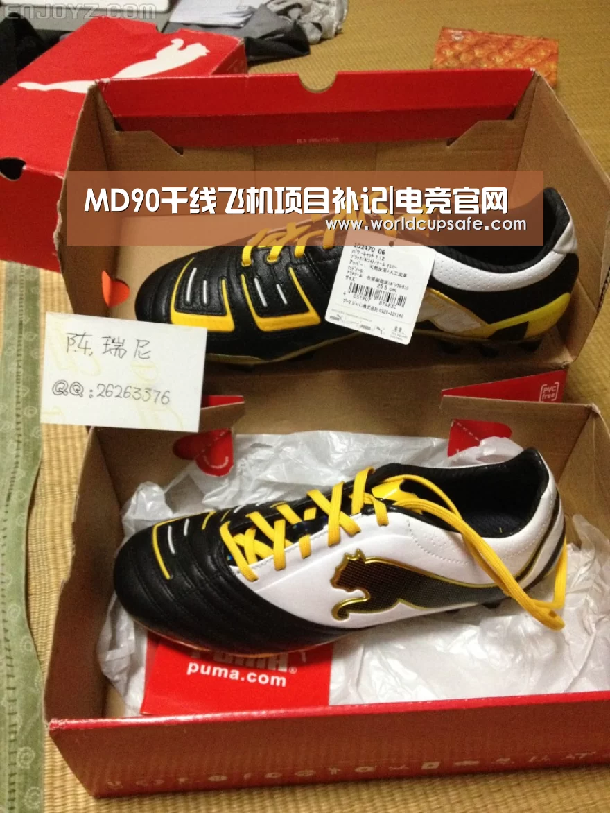 MD90干线飞机项目补记|电竞官网(图2) 开云电竞官网