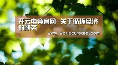开云电竞官网-关于循环经济的研究(图4) 开云电竞