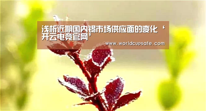 浅析近期国内锡市场供应面的变化‘开云电竞官网’