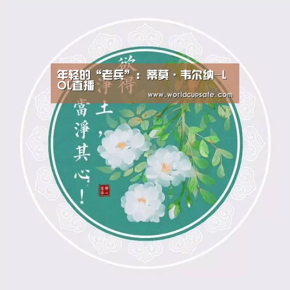 年轻的“老兵”:蒂莫·韦尔纳-LOL直播