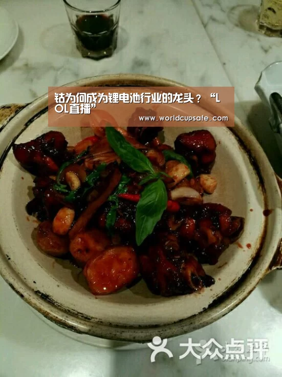 钴为何成为锂电池行业的龙头?“LOL直播”