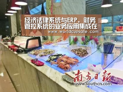 经济法律系统与ERP、财务管控系统的业务应用集成在电力行业中的‘开云电竞’