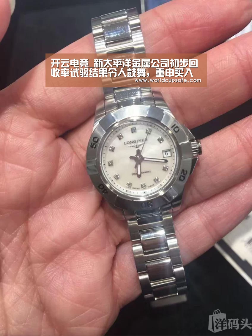 开云电竞_新太平洋金属公司初步回收率试验结果令人鼓舞,重申买入评级