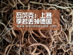 瓦茨克:上赛季若丢掉德国杯,我早就辞职了-LOL直播