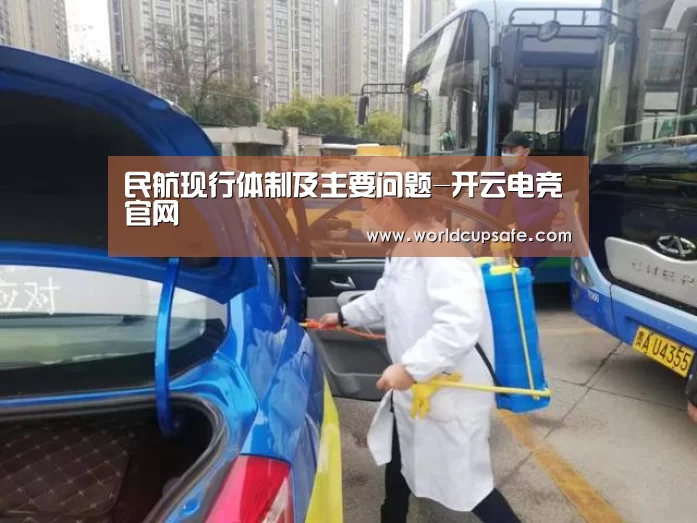民航现行体制及主要问题-开云电竞官网